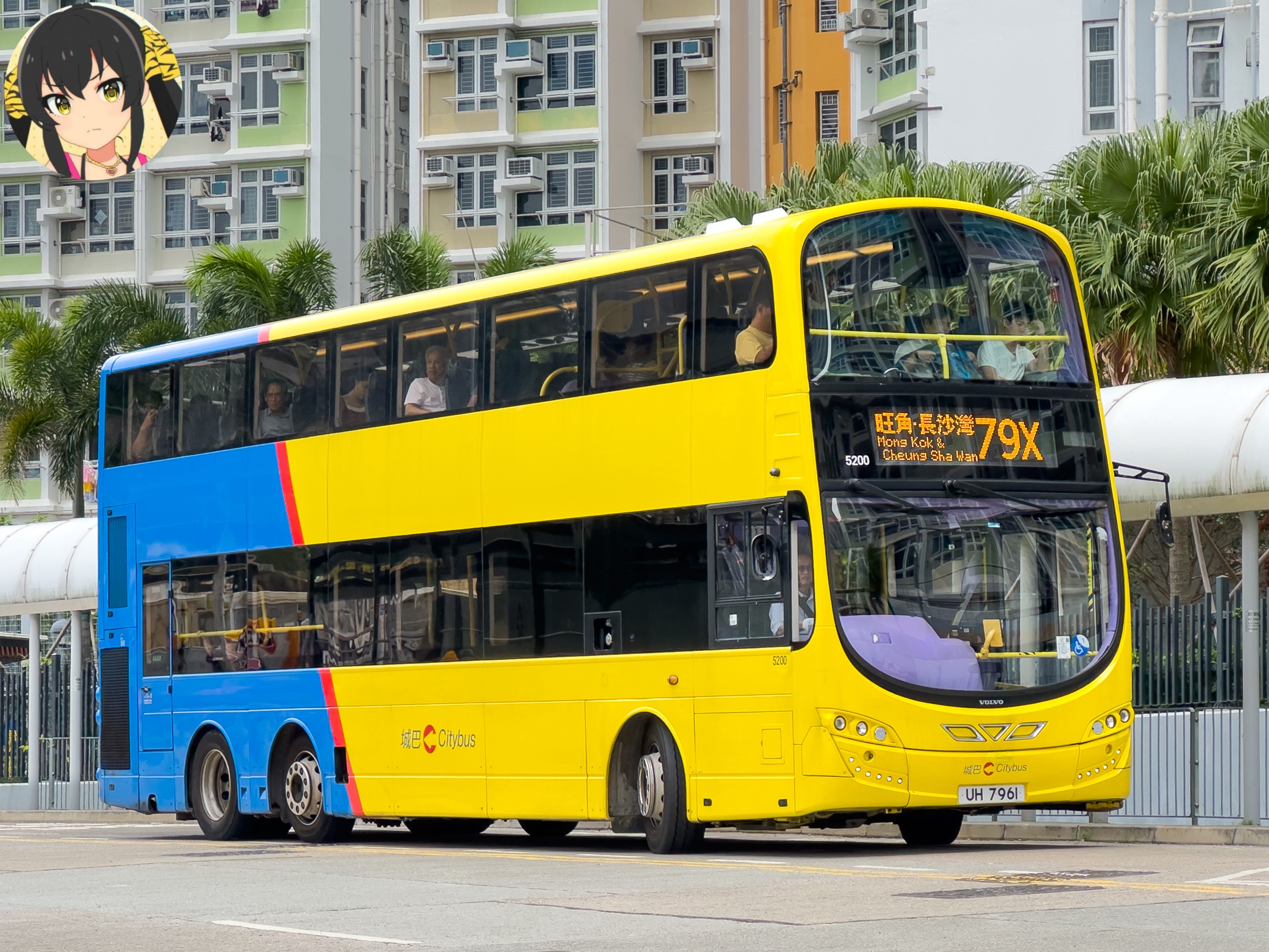 新巴蛋驚現79X